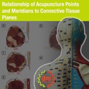 Points and Meridians to Connective Tissue Planes
