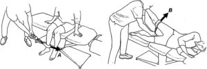 piriformis exercise